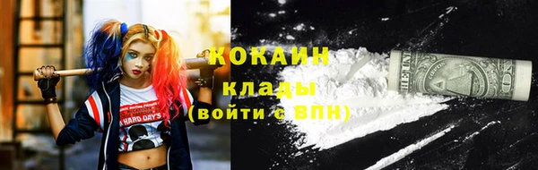 прущие грибы Волоколамск