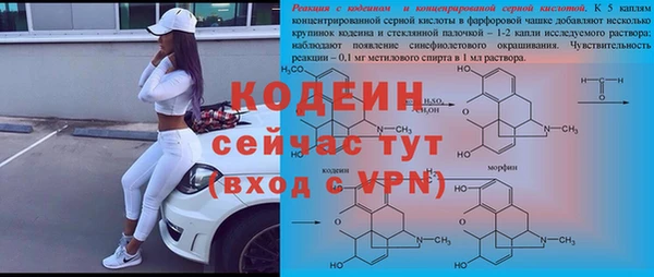 прущие грибы Волоколамск