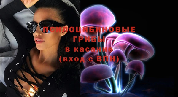 гидра Верхний Тагил