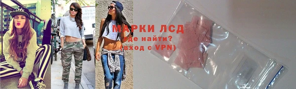 прущие грибы Волоколамск