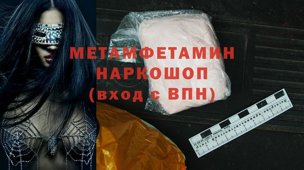 прущие грибы Волоколамск