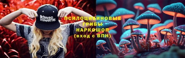 гидра Верхний Тагил