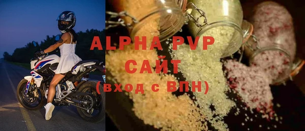 прущие грибы Волоколамск