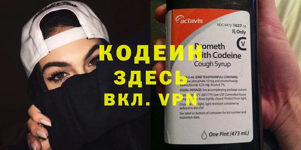 прущие грибы Волоколамск