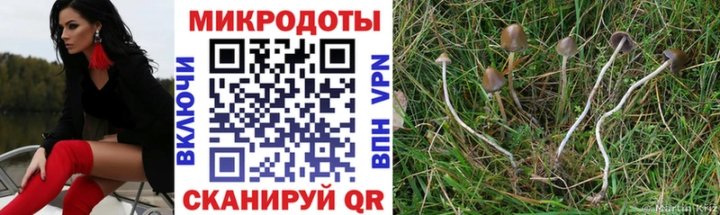 Псилоцибиновые грибы ЛСД  Пушкино 